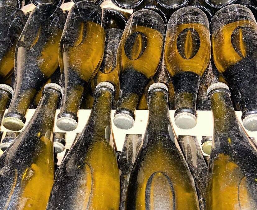 Τρύγος 2025 – Οινοποιείο Νικολού, 150 ετών!